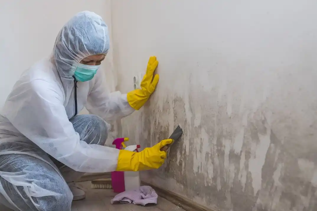 water damage restoration service Brownes Addition